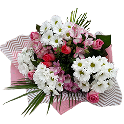 заказать Недорогі