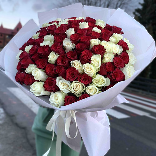 величезний букет червоно-білих троянд фото