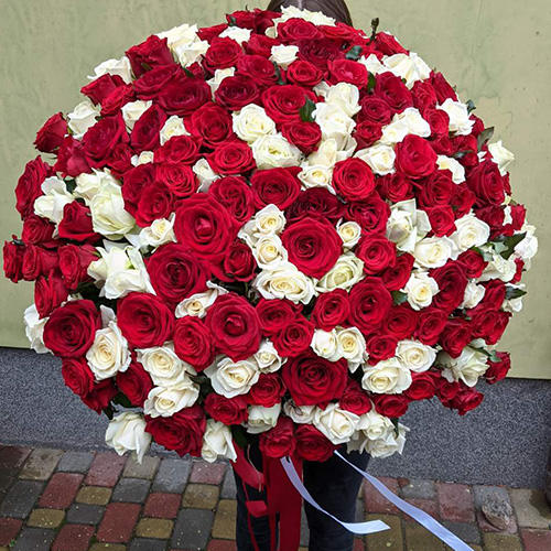 живе фото товару "101 червона і біла троянда"