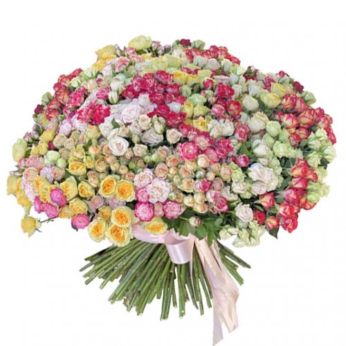 Фото товара 201 кущова троянда у Надвірній