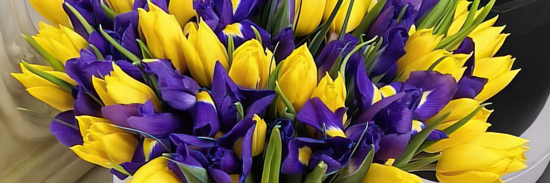 категория товаров Тюльпани | Надвірна | «Надвірна Роза»